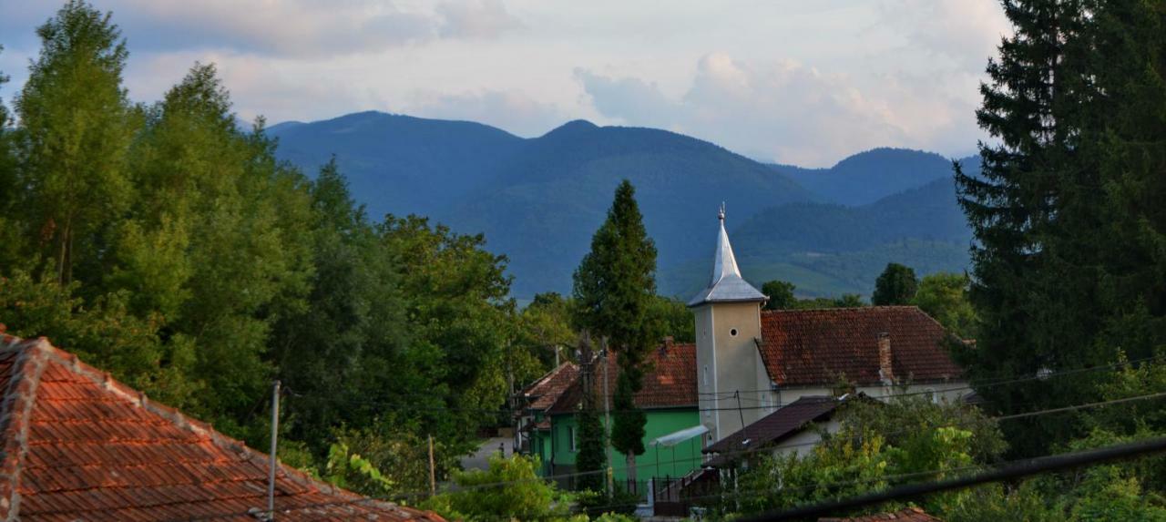 Pensiunea Salas Salasu de Sus Exterior foto